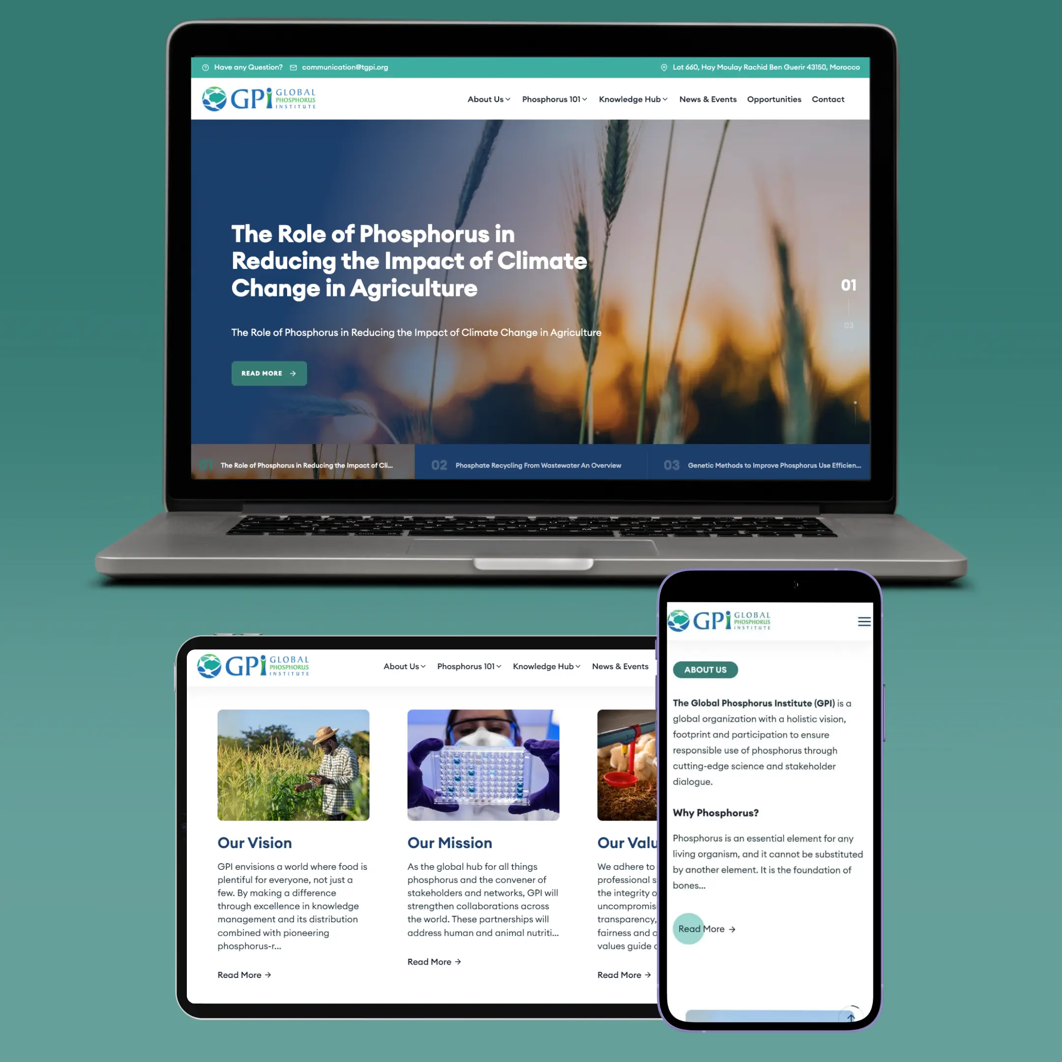 Global Phosphorus Institute